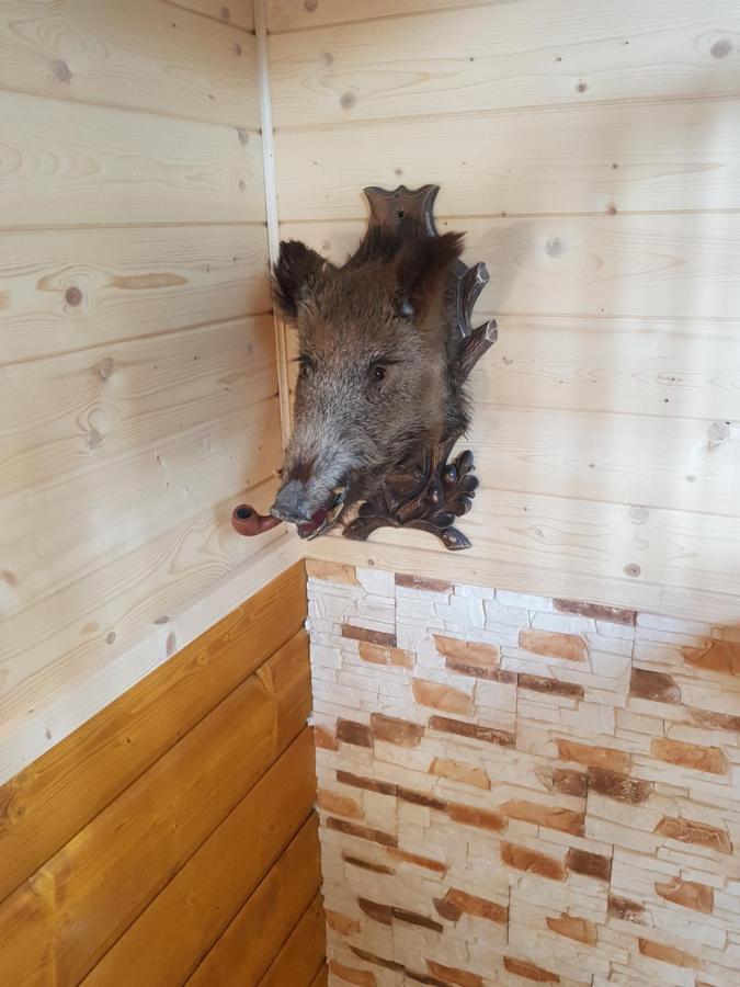 Pcim Gniewnikヴィラ エクステリア 写真