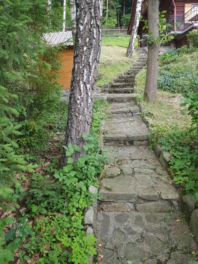 Pcim Gniewnikヴィラ エクステリア 写真